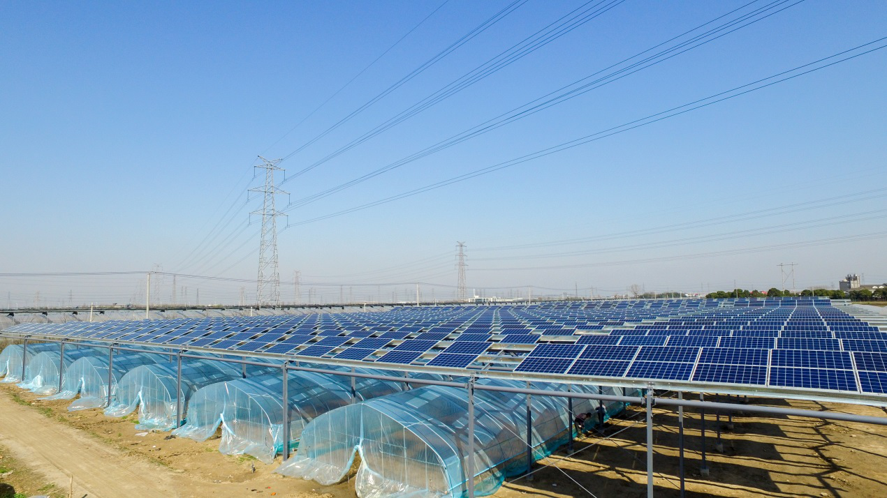 11--东方神华现代设施农业产业园农光互补发电项目.png